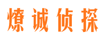 松溪市调查公司